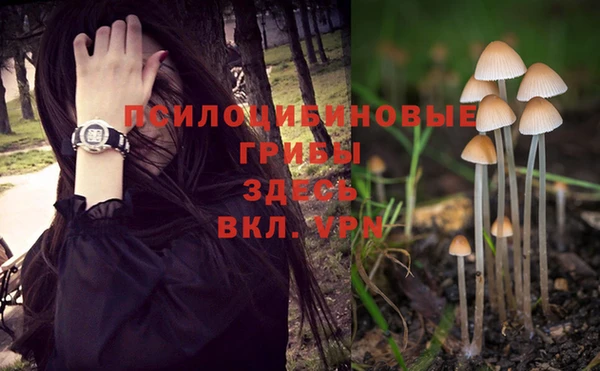 MDMA Premium VHQ Заволжье